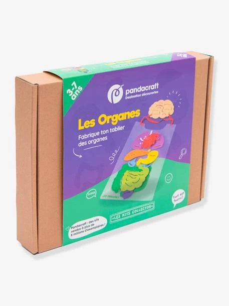 Kit Collector Les Organes Du Corps 3/7 Ans PANDACRAFT Violet - Pandacraft – Image 2