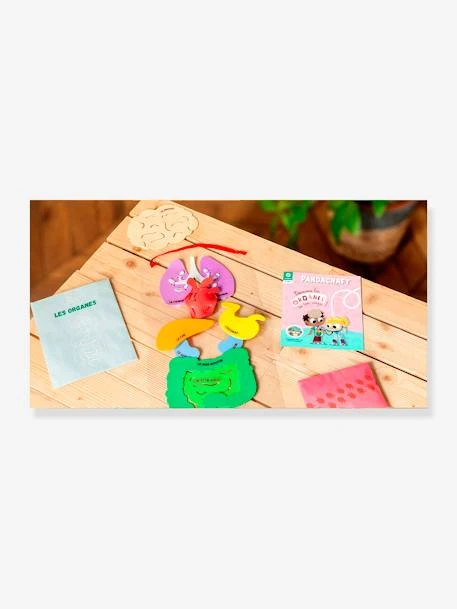Kit Collector Les Organes Du Corps 3/7 Ans PANDACRAFT Violet - Pandacraft – Image 5