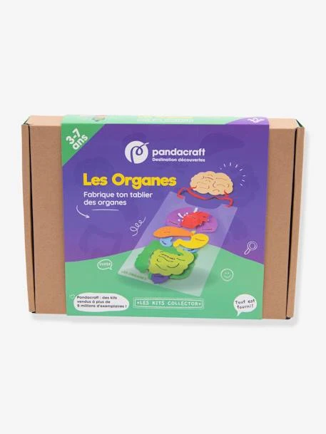 Kit Collector Les Organes Du Corps 3/7 Ans PANDACRAFT Violet - Pandacraft