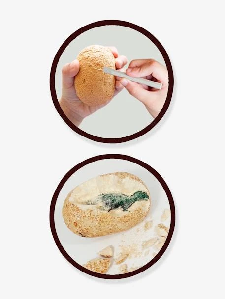 Maxi Pack 12 Oeufs Dinosaures - BUKI Orange - Buki – Image 3