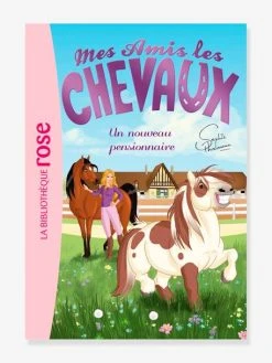 Mes Amis Les Chevaux - T.1 - Un Nouveau Pensionnaire - HACHETTE Blanc - Hachette