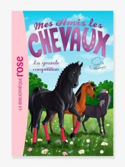 Mes Amis Les Chevaux - T.2 - La Grande Compétition - HACHETTE Blanc - Hachette