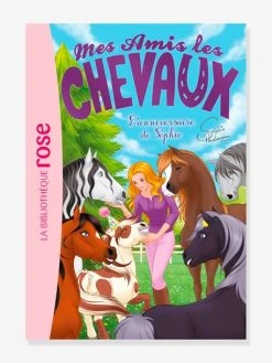 Mes Amis Les Chevaux - T.35 - L'anniversaire De Sophie - HACHETTE Blanc - Hachette